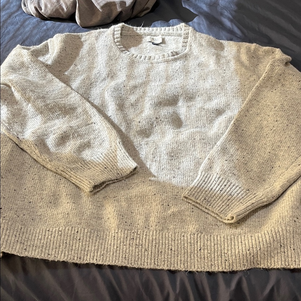 American Eagle Outfitters Men's Light Gray Crewneck Sweater